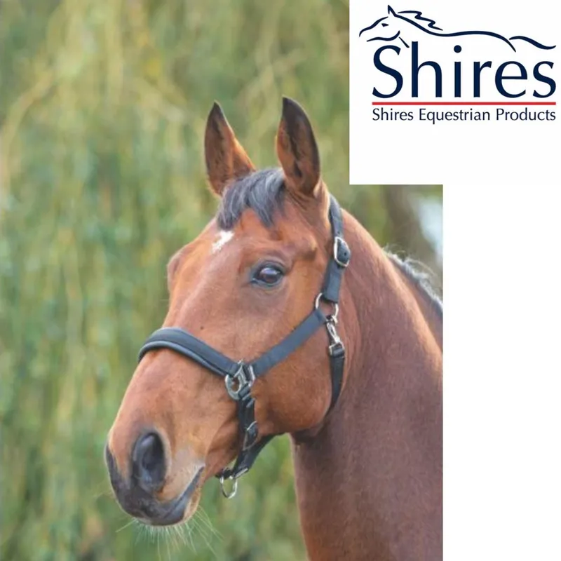 Shires Comfort Padded Headcollar - Black 